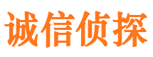 孝南外遇出轨调查取证